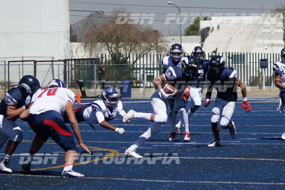 Borregos Toluca vs. Tigres Blancos UMAD