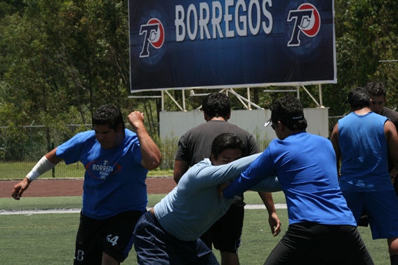 Borregos Puebla a mejorar