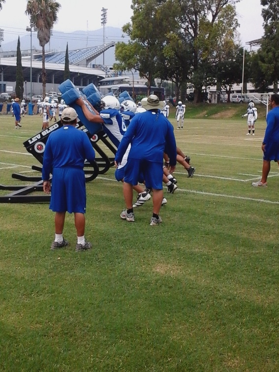 Arduos entrenamientos han tenido los Borregos Salvajes