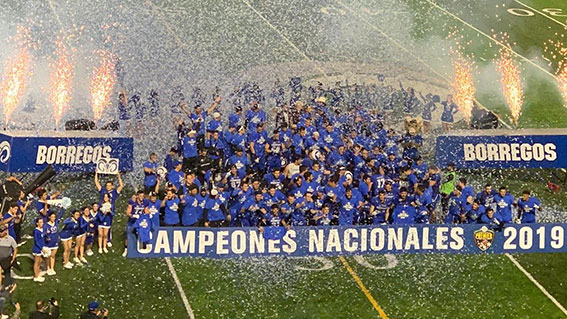 Borregos Monterrey Campeones 2019